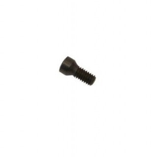 Insert Screw